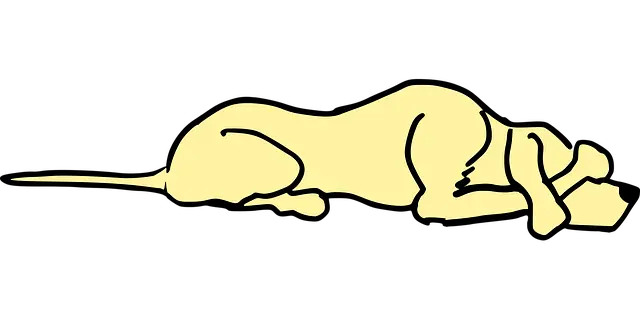 Từ vựng agitated: [Adj] Kích động, bối rối, lo lắng.