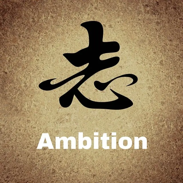 Từ vựng ambition: [n] tham vọng, hoài bão