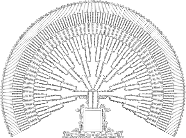 Từ vựng Ancestry: [n] Dòng dõi