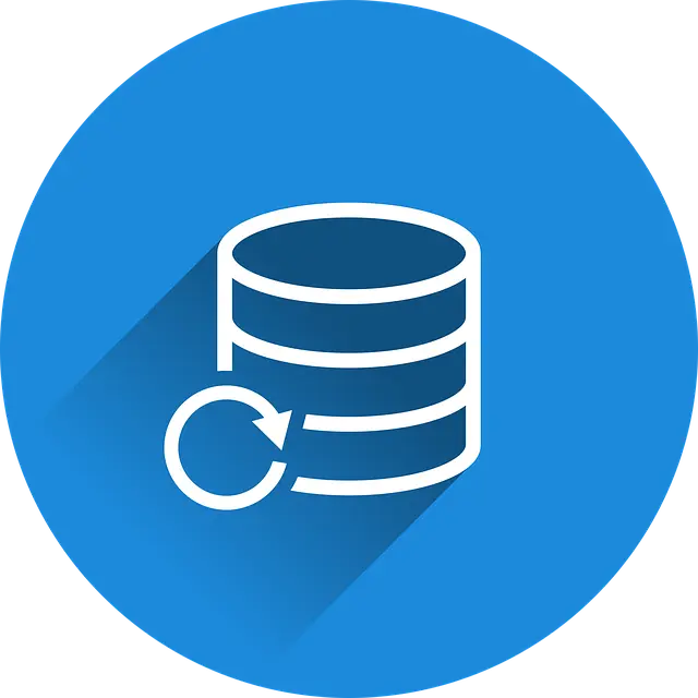 Từ vựng Backup: [v] Sao lưu