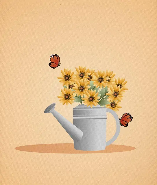 Từ vựng Butterfly: [n] Con Bướm