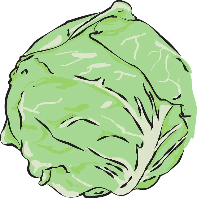 Từ vựng Cabbage: /ˈkæbɪdʒ/