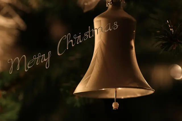 Mẫu câu: Merry Christmas!
