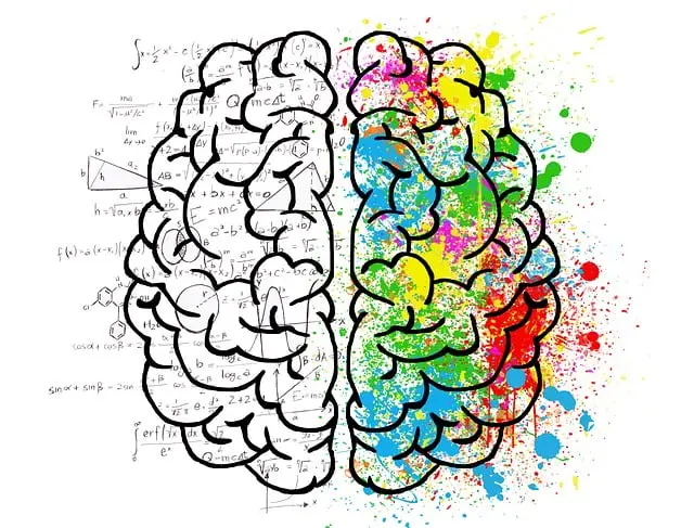 Từ vựng concentration: [noun] sự tập trung