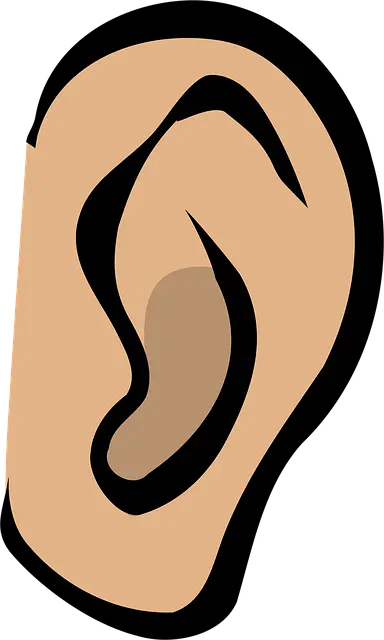 Từ vựng Ear: [n] Tai