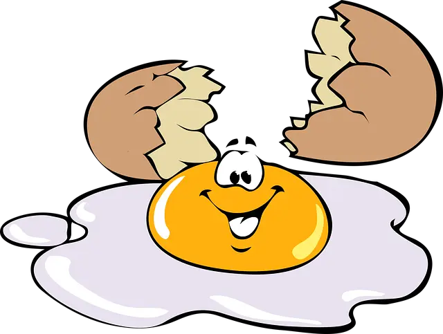 Từ vựng Egg: [n] Quả trứng