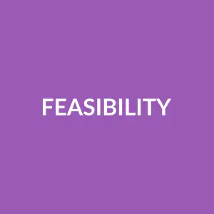 Từ vựng feasibility: [n] Tính khả thi, khả năng thực hiện