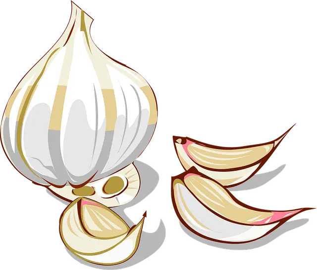 Từ vựng Garlic: /ˈɡɑːlɪk/