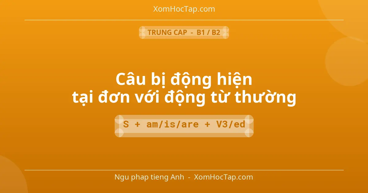 Ngu phap tieng Anh: Câu bị động hiện tại đơn với động từ thường - Cong thuc: S + am/is/are + V3/ed