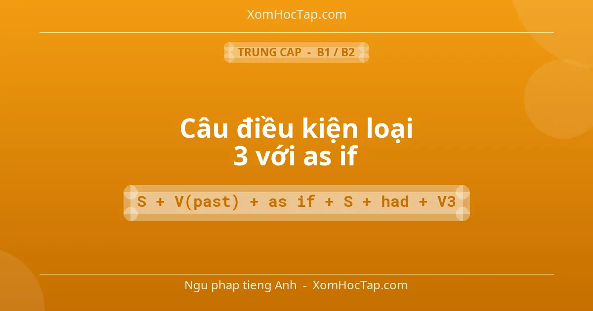 Ngu phap tieng Anh: Câu điều kiện loại 3 với as if - Cong thuc: S + V(past) + as if + S + had + V3