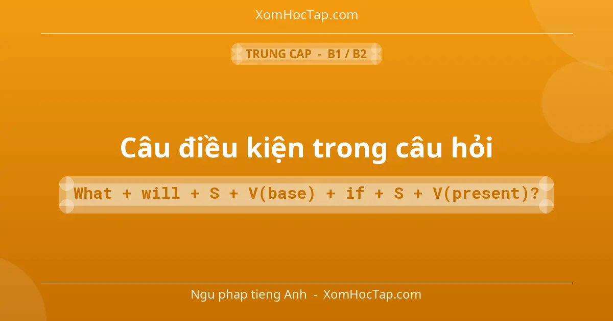 Ngu phap tieng Anh: Câu điều kiện trong câu hỏi - Cong thuc: What + will + S + V(base) + if + S + V(present)?