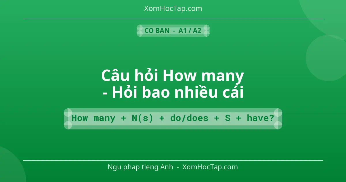 Ngu phap tieng Anh: Câu hỏi How many - Hỏi bao nhiều cái - Cong thuc: How many + N(s) + do/does + S + have?