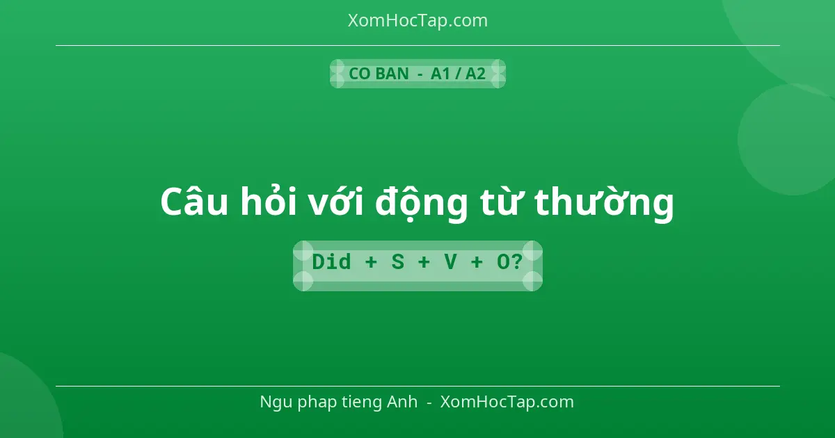 Ngu phap tieng Anh: Câu hỏi với động từ thường - Cong thuc: Did + S + V + O?