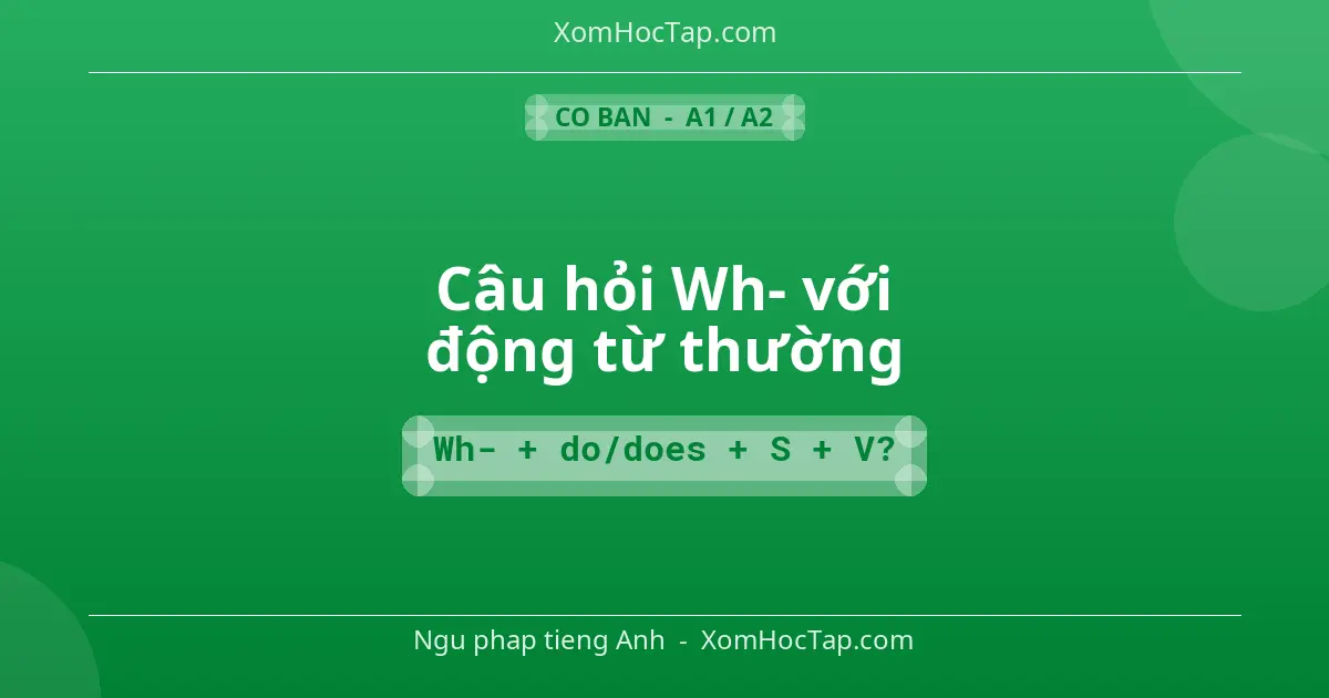 Ngu phap tieng Anh: Câu hỏi Wh- với động từ thường - Cong thuc: Wh- + do/does + S + V?