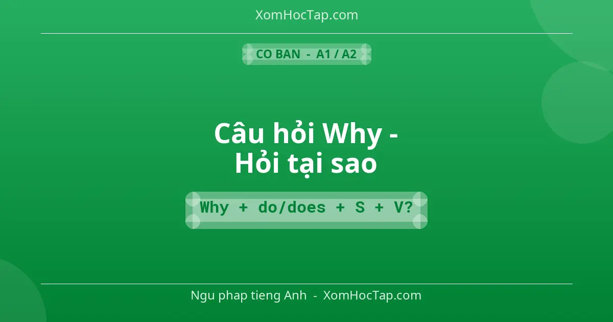 Ngu phap tieng Anh: Câu hỏi Why - Hỏi tại sao - Cong thuc: Why + do/does + S + V?