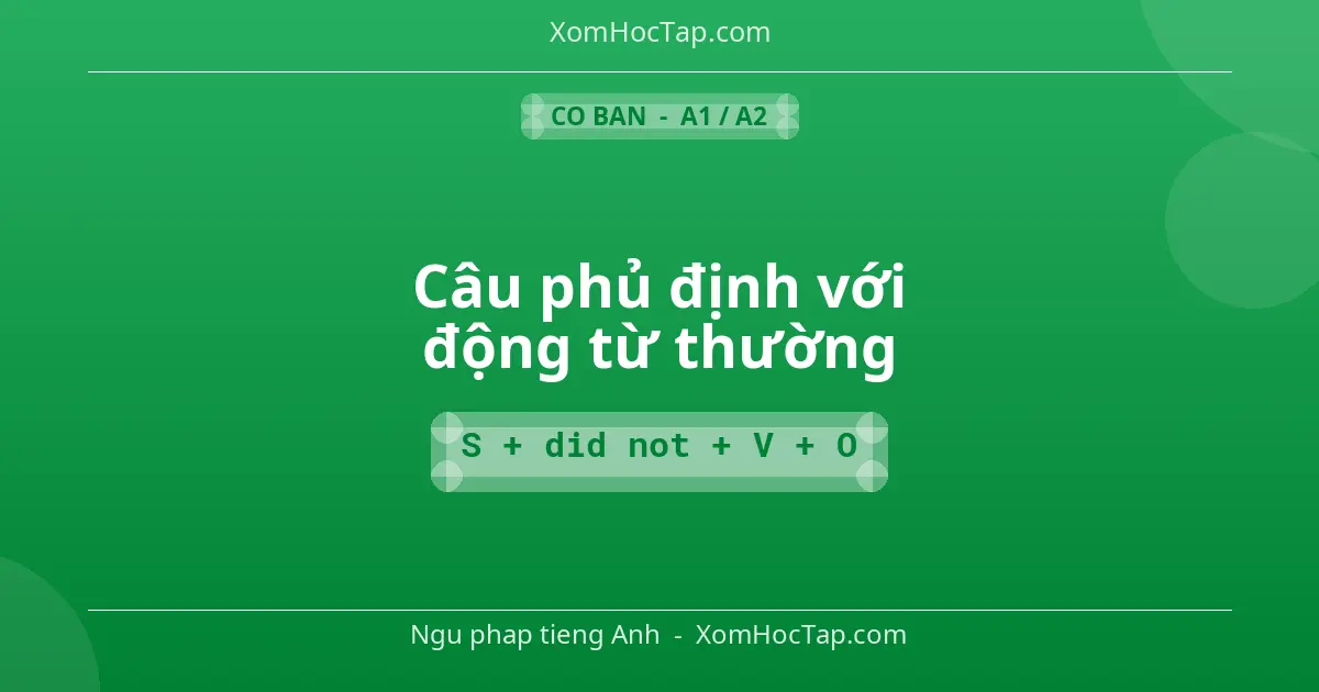 Ngu phap tieng Anh: Câu phủ định với động từ thường - Cong thuc: S + did not + V + O