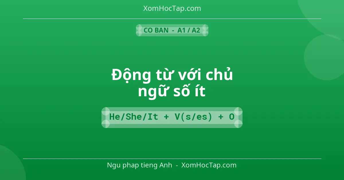 Ngu phap tieng Anh: Động từ với chủ ngữ số ít - Cong thuc: He/She/It + V(s/es) + O