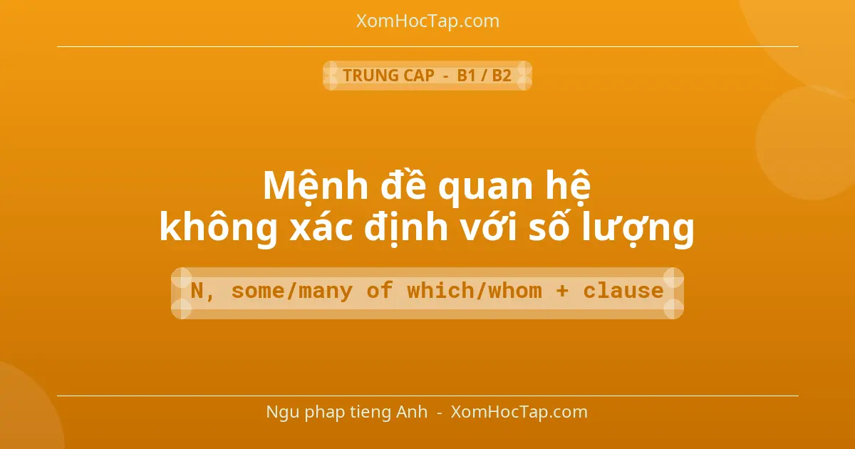 Ngu phap tieng Anh: Mệnh đề quan hệ không xác định với số lượng - Cong thuc: N, some/many of which/whom + clause
