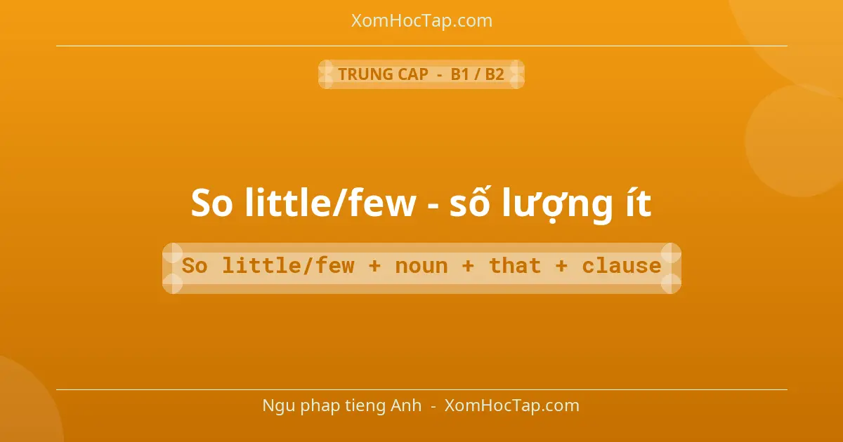 Ngu phap tieng Anh: So little/few - số lượng ít - Cong thuc: So little/few + noun + that + clause