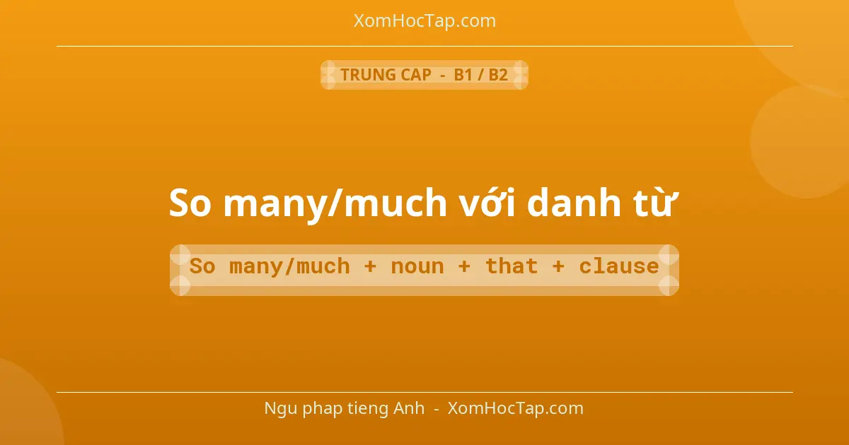 Ngu phap tieng Anh: So many/much với danh từ - Cong thuc: So many/much + noun + that + clause