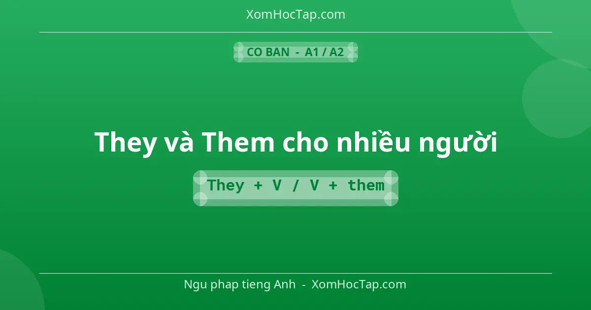 Ngu phap tieng Anh: They và Them cho nhiều người - Cong thuc: They + V / V + them