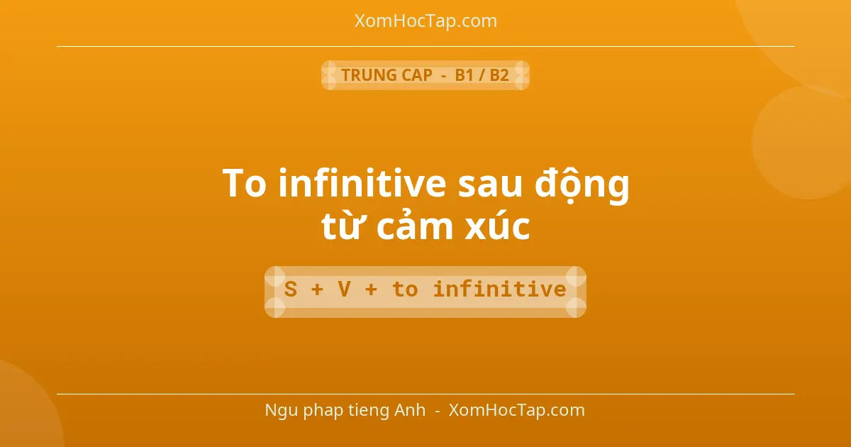 Ngu phap tieng Anh: To infinitive sau động từ cảm xúc - Cong thuc: S + V + to infinitive