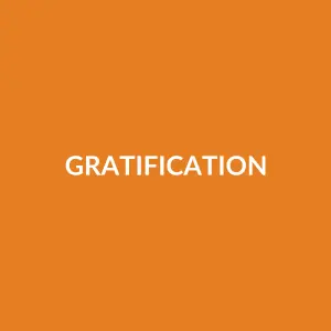Từ vựng gratification: [Danh từ] Sự hài lòng, sự thỏa mãn (thường là tức thì)