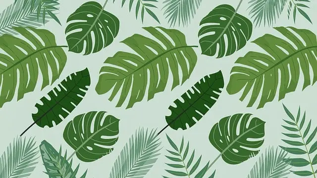 Từ vựng Green: [adj] Màu xanh lá
