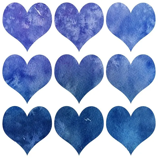 Từ vựng Heart: [n] Tim