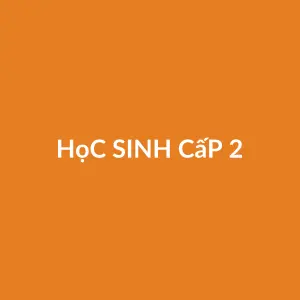 Từ vựng Học sinh cấp 2: Lớp 6