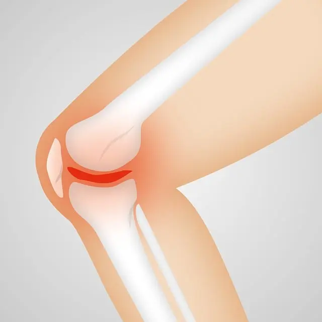 Từ vựng Knee: [n] Đầu gối