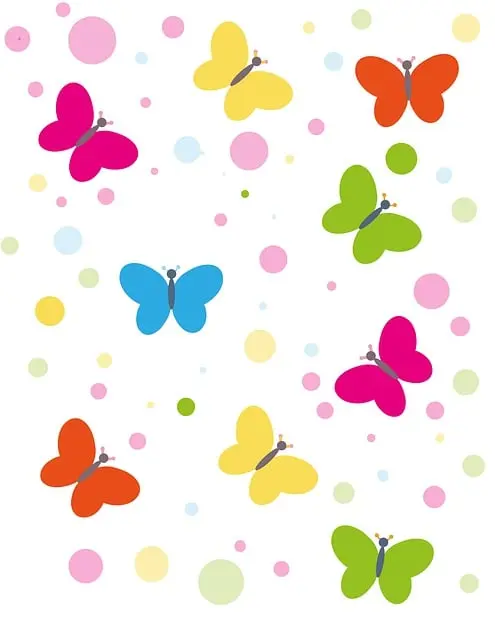 Từ vựng metamorphosis: [N] Sự biến đổi, sự thay đổi hình dạng hoàn toàn