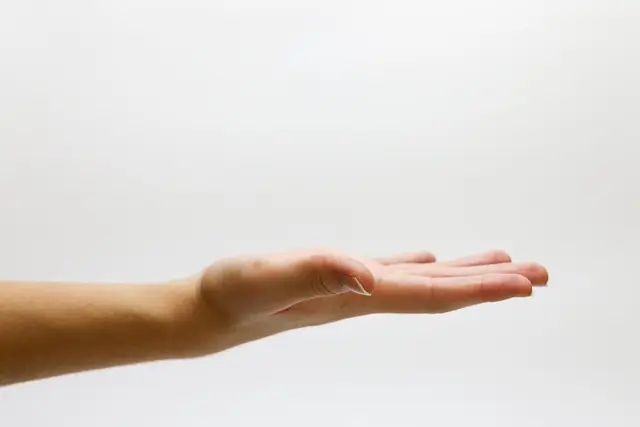 Mẫu câu: What did you say?