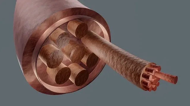 Từ vựng Muscle: [n] Cơ bắp