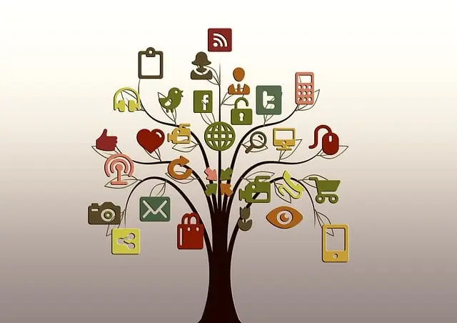 Từ vựng Network: [n] Mạng lưới