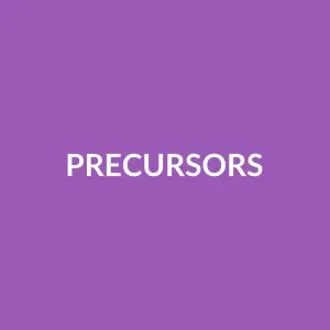 Từ vựng precursors: [N] Tiền thân, dấu hiệu báo trước