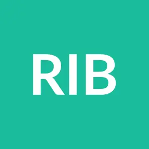 Từ vựng Rib: [n] Xương sườn