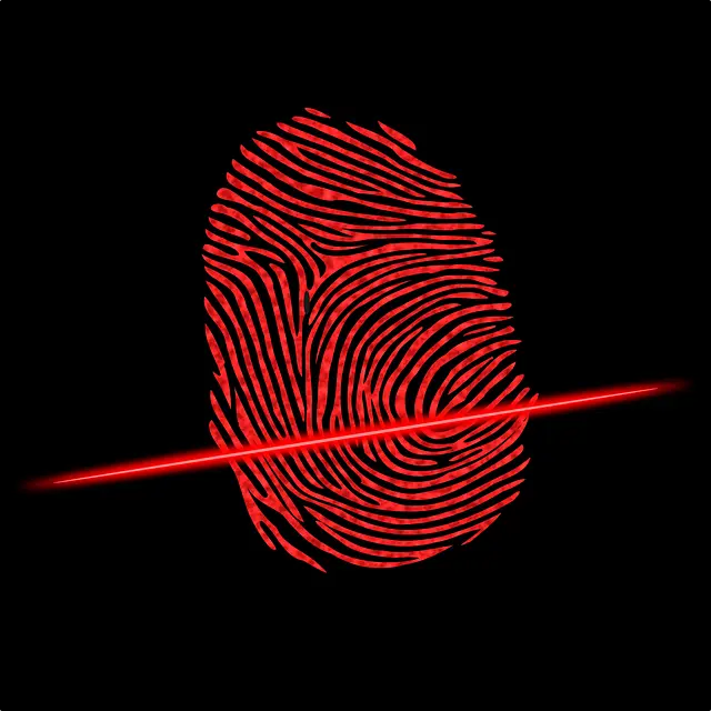 Từ vựng Scanner: [n] Máy quét