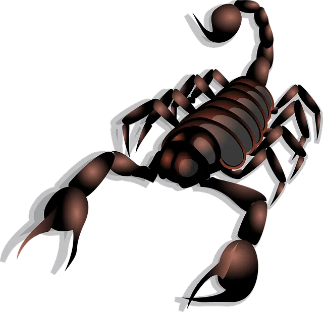 Từ vựng Scorpion: [n] Bọ cạp