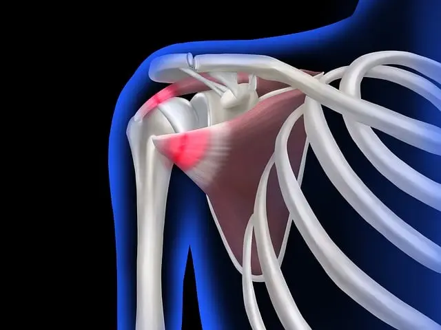 Từ vựng Shoulder: [n] Vai