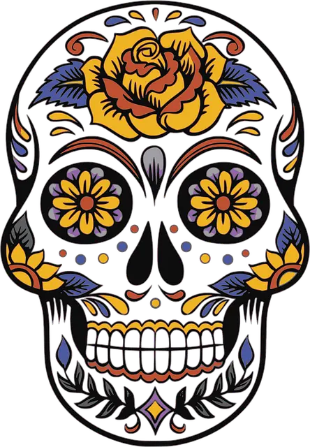 Từ vựng Skull: [n] Hộp sọ