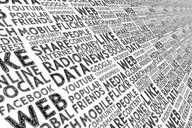 Từ vựng Social media: [n] Mạng xã hội