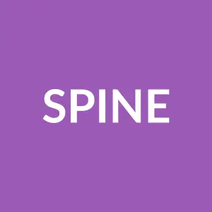 Từ vựng Spine: [n] Cột sống