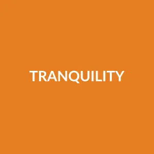 Từ vựng tranquility: [Noun] Sự thanh thản, bình an, tĩnh lặng