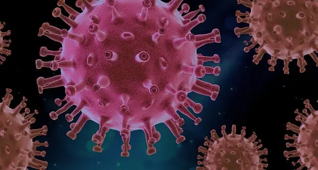 Từ vựng Viral: [adj] Lan truyền nhanh