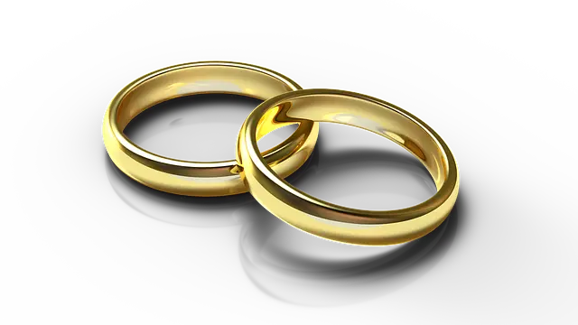Từ vựng Wedding: [n] Đám cưới