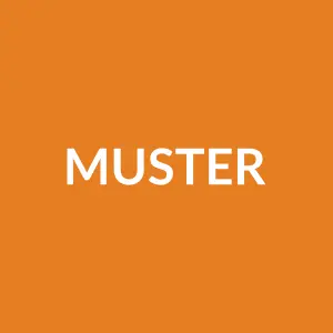 Từ vựng muster: [verb] Huy động, tập hợp