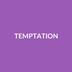 Từ vựng temptation: [noun] Sự cám dỗ