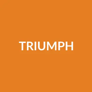 Từ vựng triumph: [noun] Chiến thắng, thành công vang dội