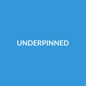 Từ vựng underpinned: [v] được hỗ trợ, làm nền tảng cho